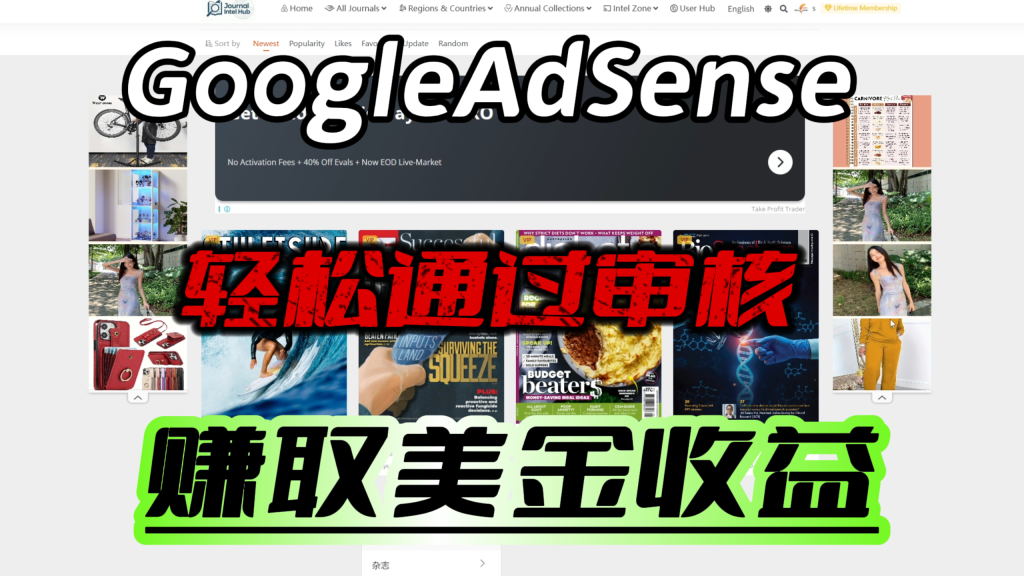 Google AdSense快速通过审核的终极办法